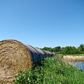 Hay Roll